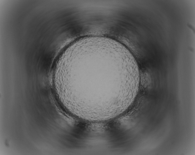 X0000097670632200803281013