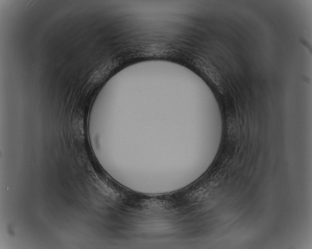 X0000097670633200803281013