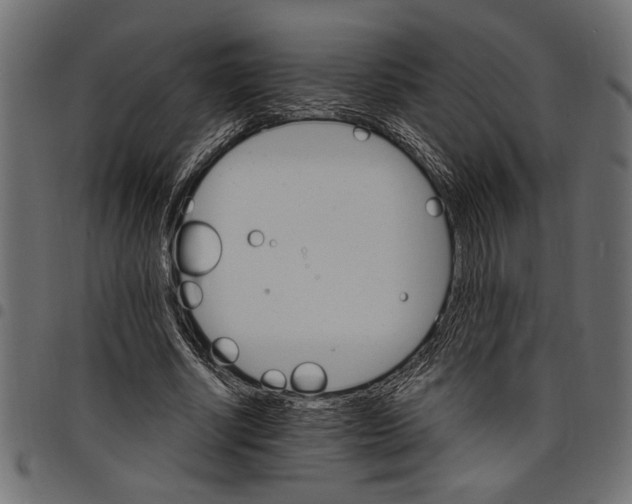 X0000097670634200803281013