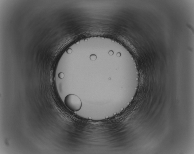 X0000097670635200803281013