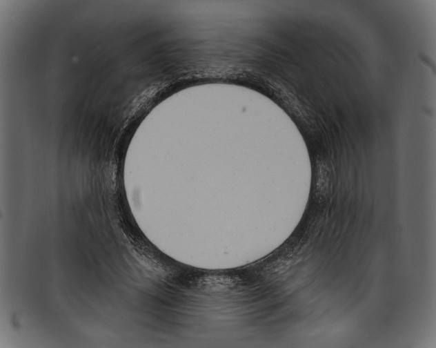 X0000097670636200803281013