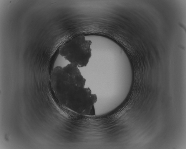 X0000097670638200803281013