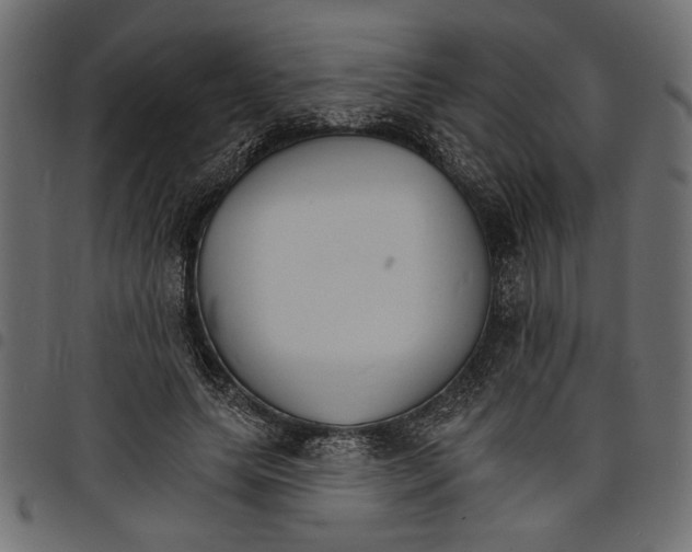 X0000097670639200803281013