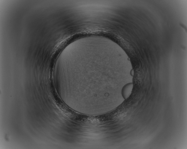 X0000097670640200803281013