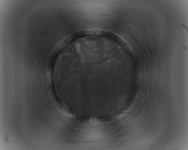 X0000097670641200803281013