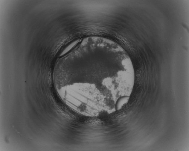 X0000097670642200803281013