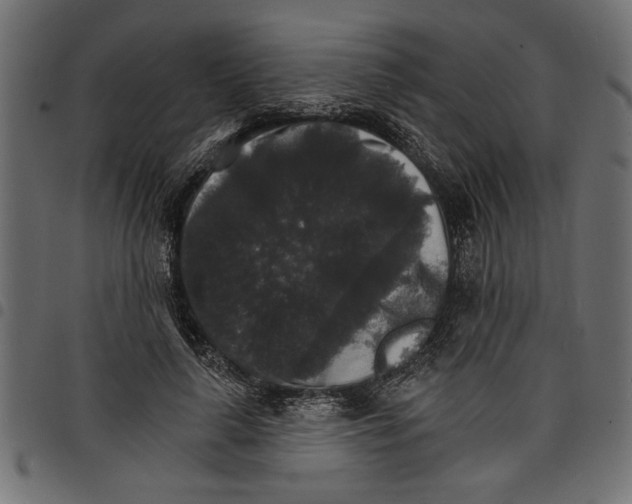 X0000097670643200803281013