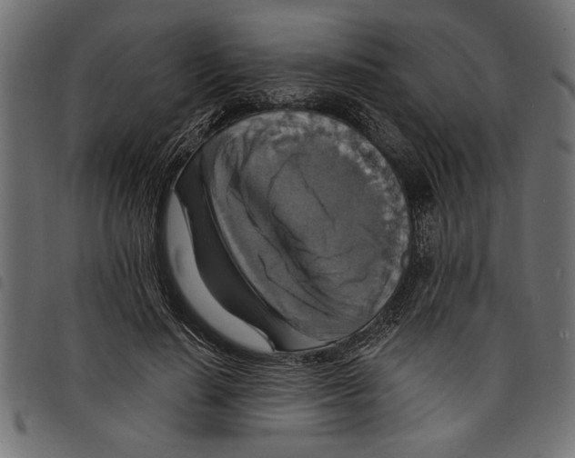 X0000097670644200803281013