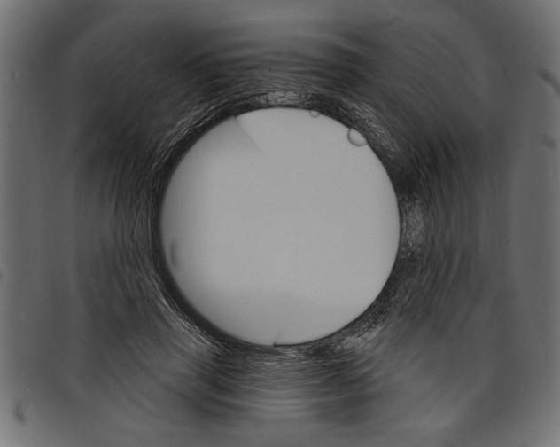 X0000097670645200803281013