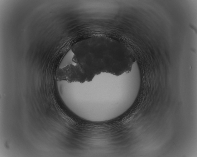 X0000097670646200803281013