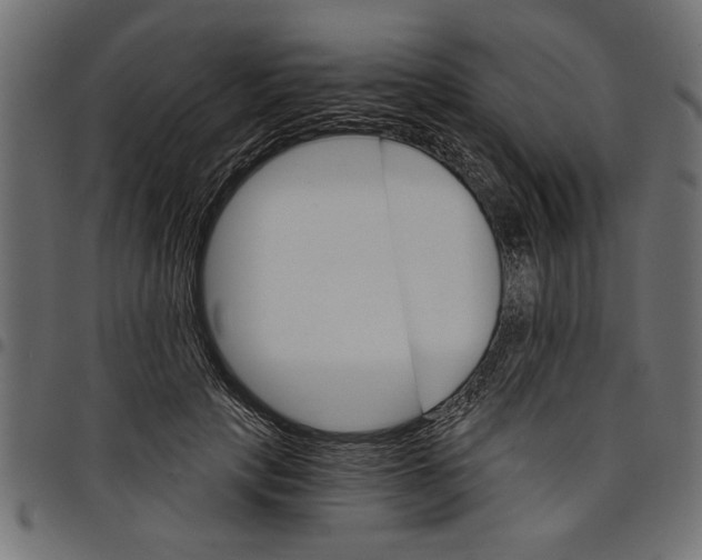 X0000097670649200803281013