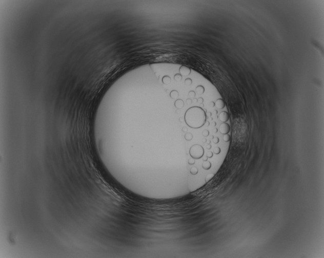 X0000097670650200803281013
