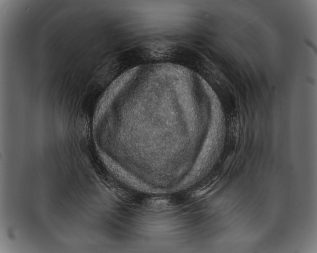 X0000097670651200803281013