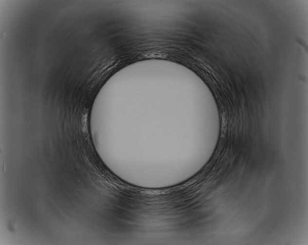 X0000097670652200803281013