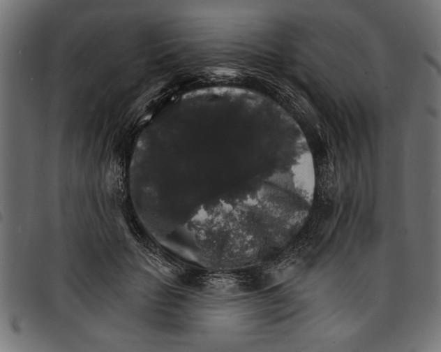 X0000097670653200803281013