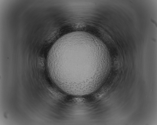 X0000097670654200803281013