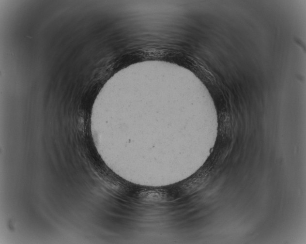 X0000097670655200803281013