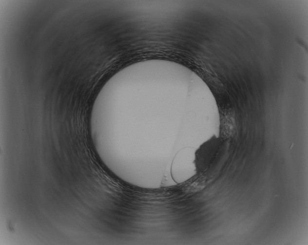 X0000097670657200803281013