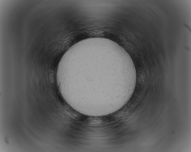 X0000097670658200803281013