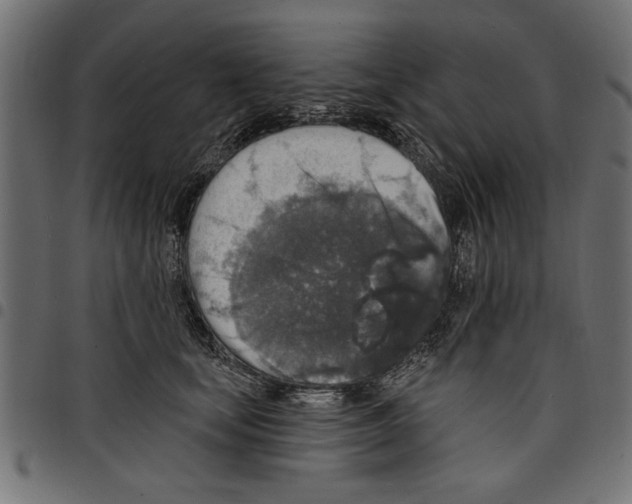 X0000097670659200803281013