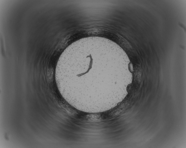 X0000097670660200803281014