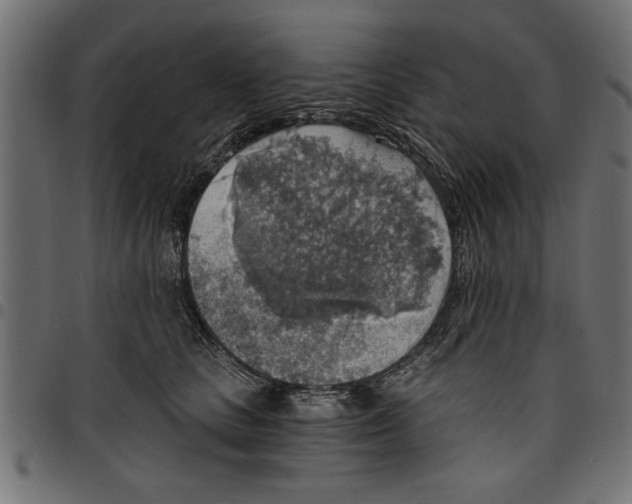 X0000097670661200803281014