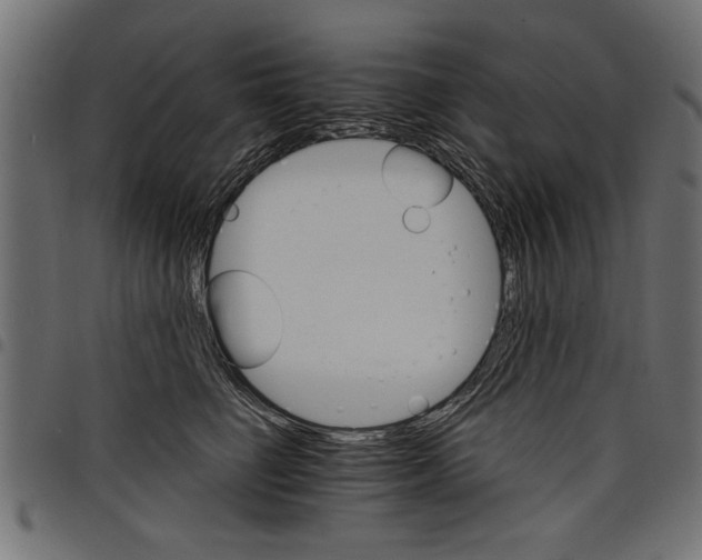 X0000097670662200803281014