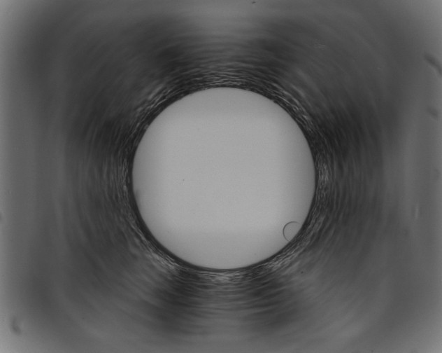 X0000097670663200803281014