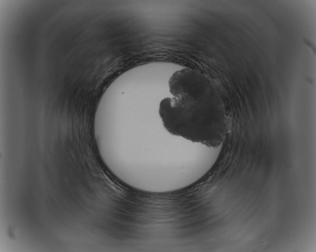 X0000097670664200803281014
