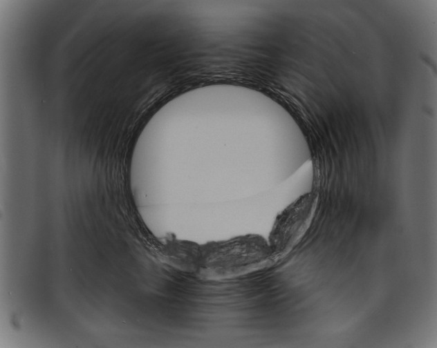X0000097670665200803281014