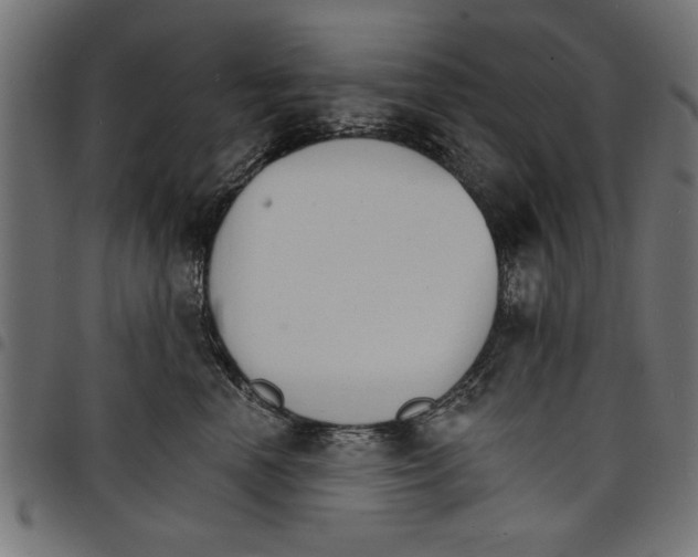 X0000097670666200803281014
