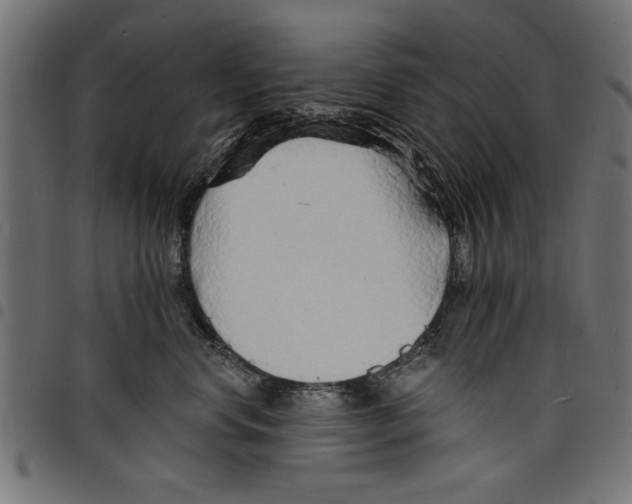 X0000097670668200803281014