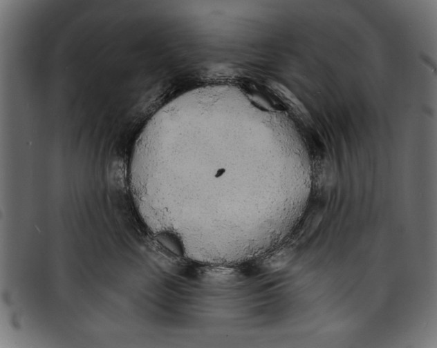 X0000097670669200803281014