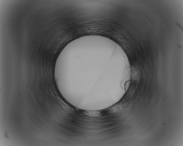 X0000097670670200803281014