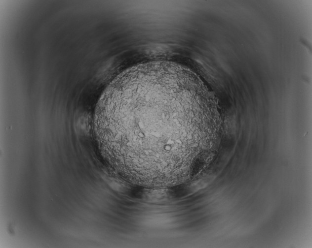 X0000097670671200803281014