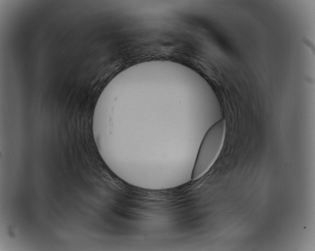 X0000097670672200803281014