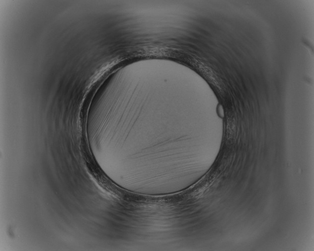 X0000097670674200803281013