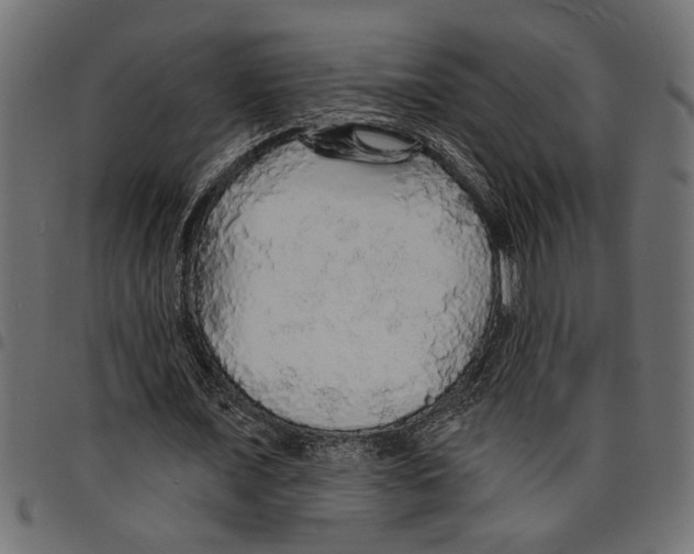 X0000097670675200803281013