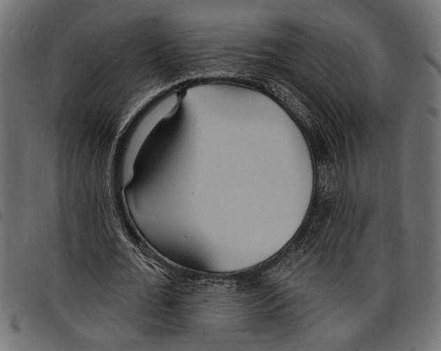 X0000097670676200803281013