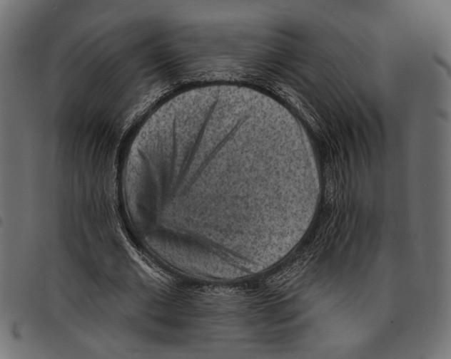 X0000097670677200803281013