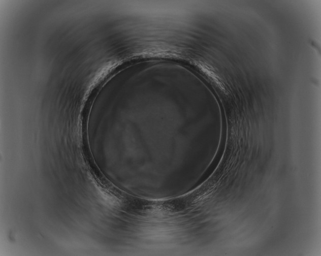 X0000097670678200803281013
