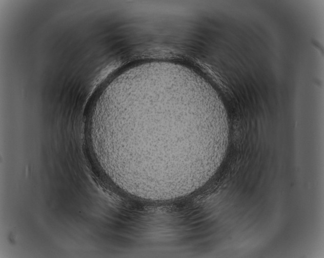 X0000097670679200803281013