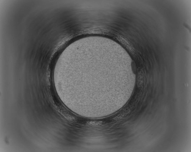 X0000097670680200803281013