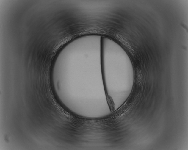 X0000097670681200803281013