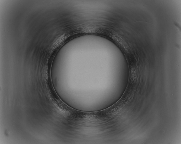 X0000097670682200803281013