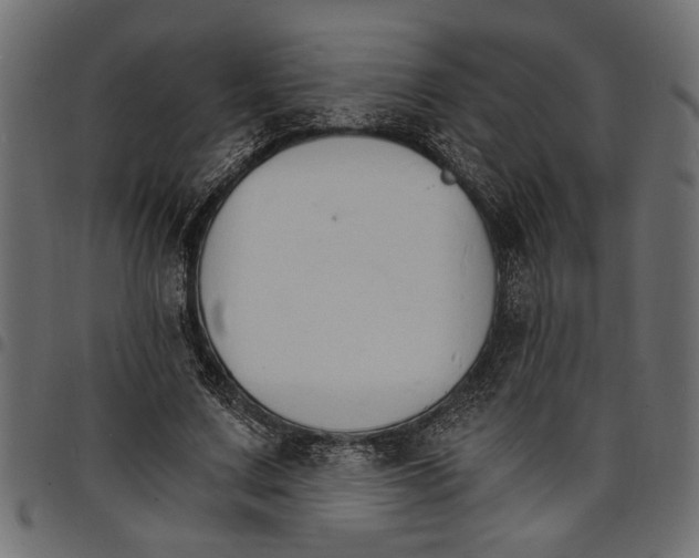 X0000097670683200803281013