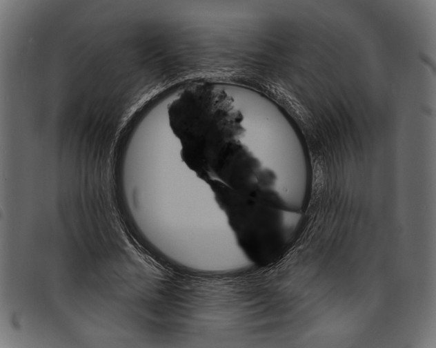 X0000097670684200803281013