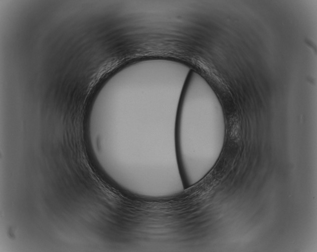 X0000097670685200803281013