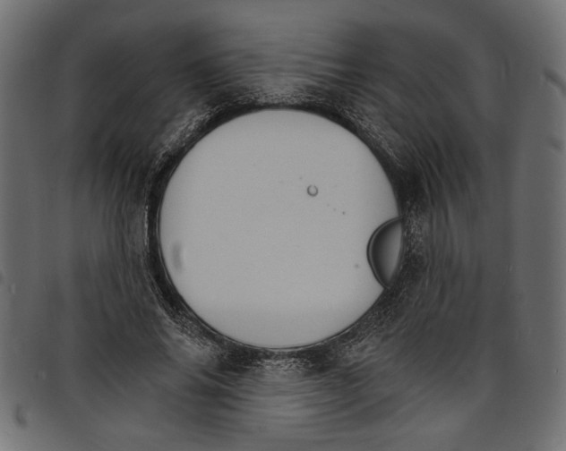 X0000097670686200803281013