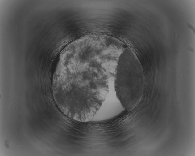 X0000097670687200803281013